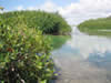 Activities in Riviera Maya